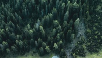 WhatsApp Image 2026-03-10 at 4.39.46 PM